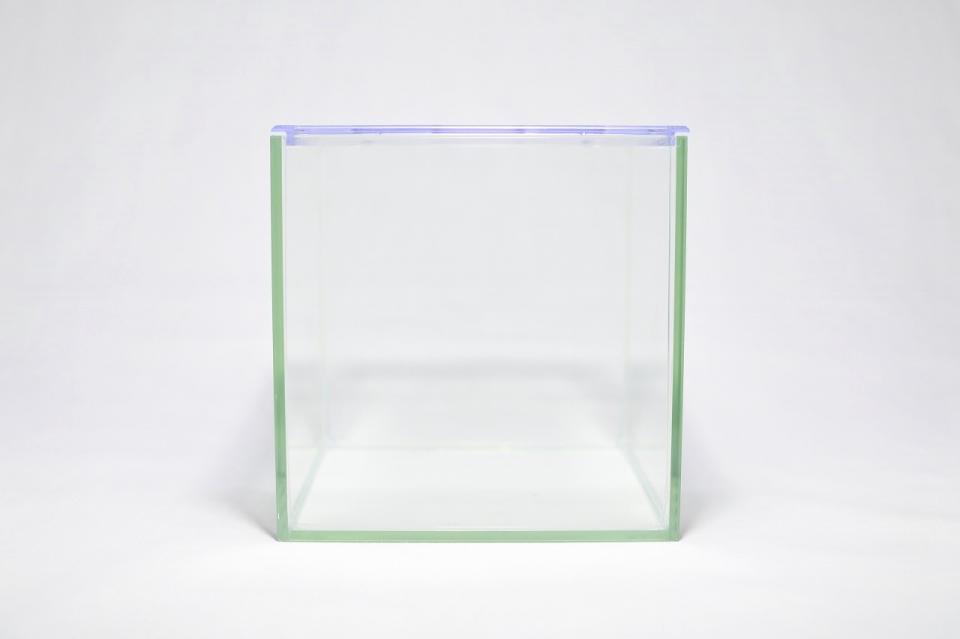 コケリウムガラス容器　12cmキューブ(フタ付)：画像1