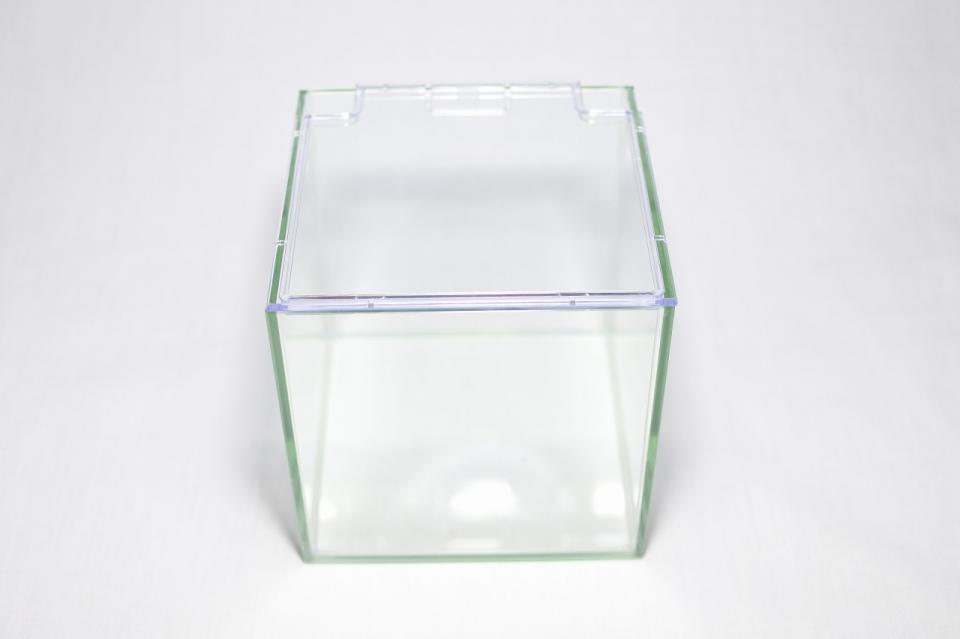 コケリウムガラス容器　12cmキューブ(フタ付)：画像2