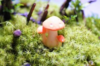 コケリウムフィギュア きのこ 傘閉じ オレンジ：画像1