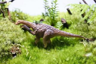 コケリウムフィギュア 恐竜 サルタサウルス：画像1