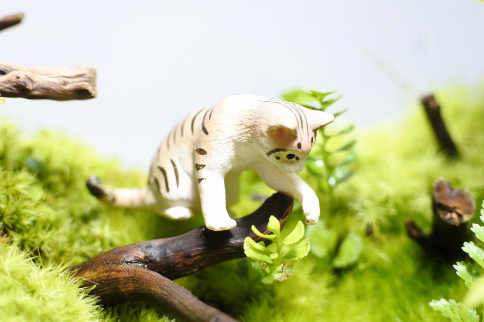 コケリウムフィギュア 猫 キジトラ
