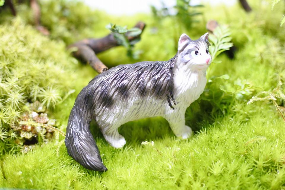コケリウムフィギュア 猫 ノルウェージャンフォレストキャット