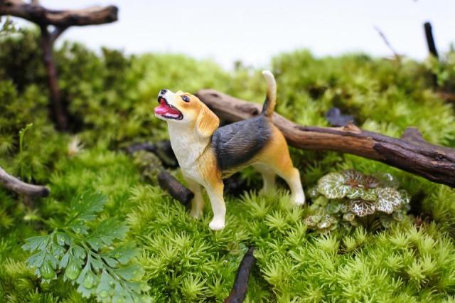 コケリウムフィギュア 犬 ビーグル：画像1