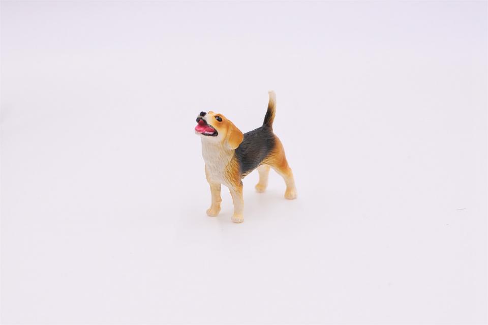 コケリウムフィギュア 犬 ビーグル：画像2