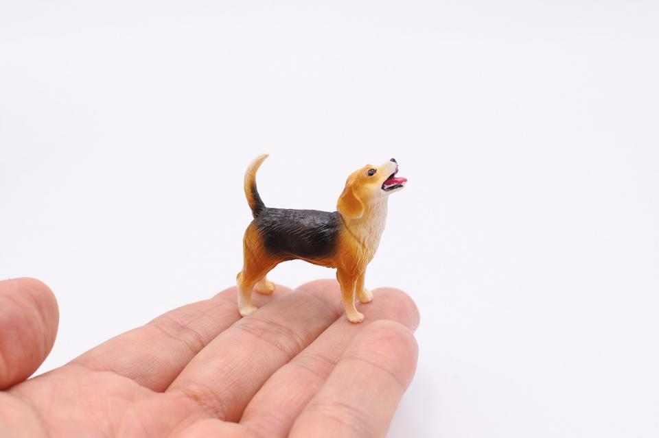 コケリウムフィギュア 犬 ビーグル：画像3