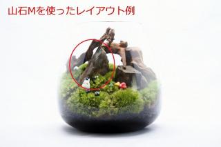 山石Ｍ（形状お任せ）：画像4