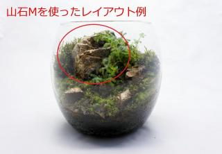 山石Ｍ（形状お任せ）：画像5