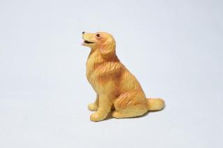 コケリウムフィギュア 犬 ゴールデン・レトリーバー：画像2