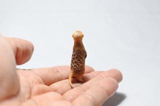 コケリウムフィギュア ミーアキャット：画像3