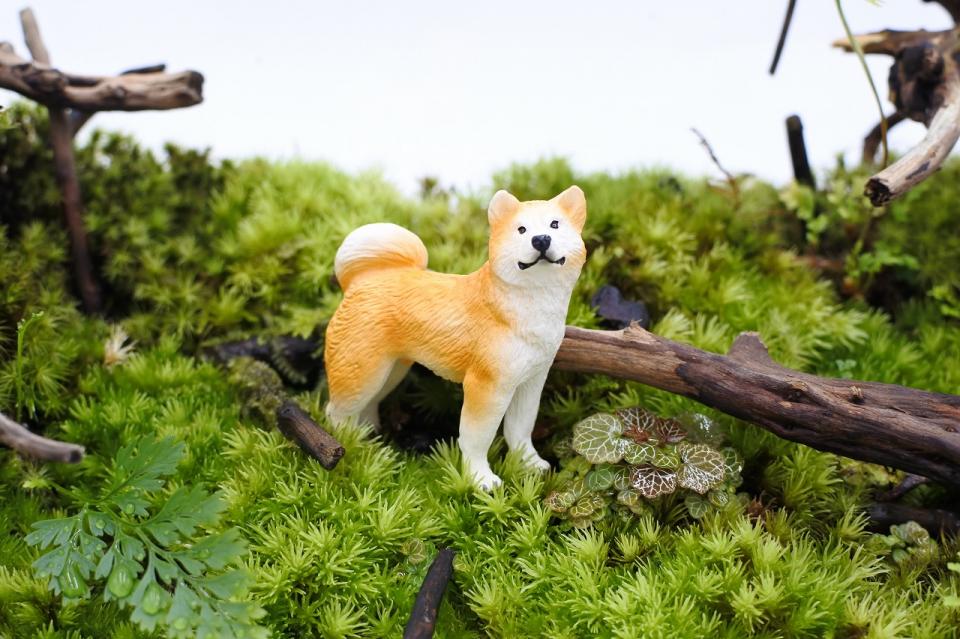 犬 いぬ テラリウム  ハンドメイド  フィギュア 動物 ミニフィギュア  人気激安 秋田犬 5個セット  コケテラリウム 装飾 イベント