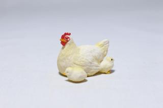 コケリウムフィギュア ニワトリ メス ヒヨコ：画像2