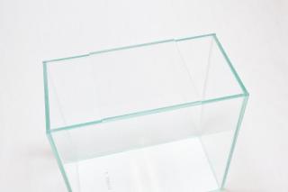 コケリウムガラス容器　20cmスリムH(フタ付)：画像5