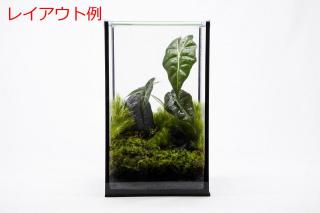 優美石SS（形状お任せ）：画像5