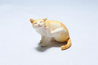 コケリウムフィギュア 猫 茶トラ：画像2
