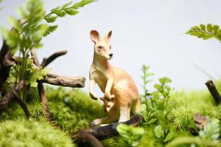 コケリウムフィギュア カンガルー：画像1