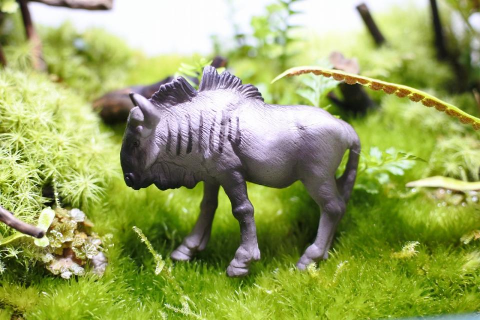 コケリウムフィギュア オグロヌー
