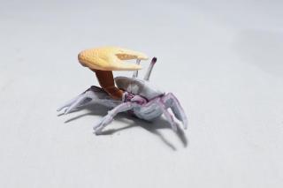 コケリウムフィギュア カニ シオマネキ：画像2