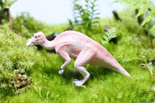 コケリウムフィギュア 恐竜 マイアサウラ：画像1