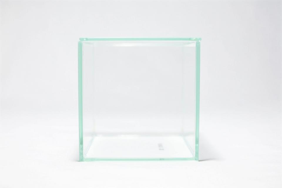 コケリウムガラス容器　10cmキューブ(フタ付)