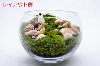 紫光石SS（形状お任せ、パック詰め）：画像3