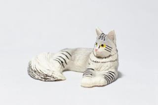 コケリウムフィギュア 猫 メインクーン：画像2