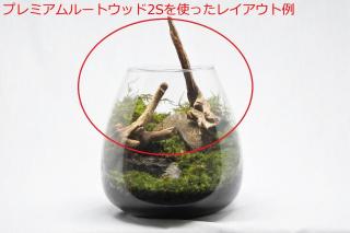 プレミアムルートウッド 2Sサイズ（形状お任せ）：画像3