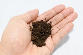 苔玉・コケリウム造形専用ソイル：画像2