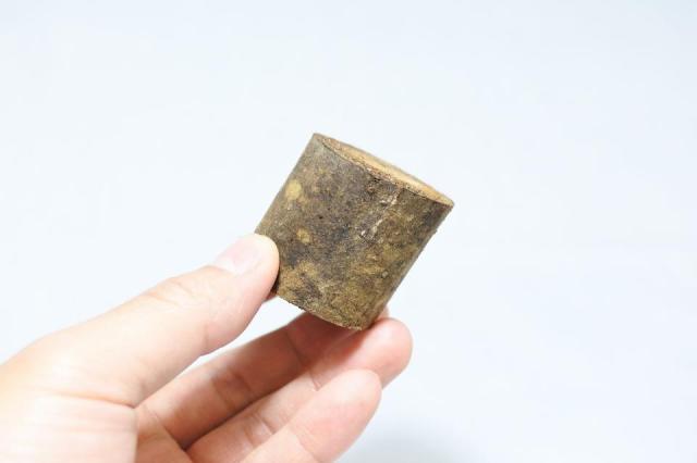 きのこが生える小さな切り株 エノキタケ ミニ(形状お任せ)：画像1