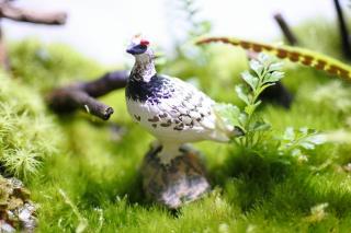コケリウムフィギュア ライチョウ：画像1