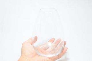 コケリウムガラス容器　エッグL：画像3