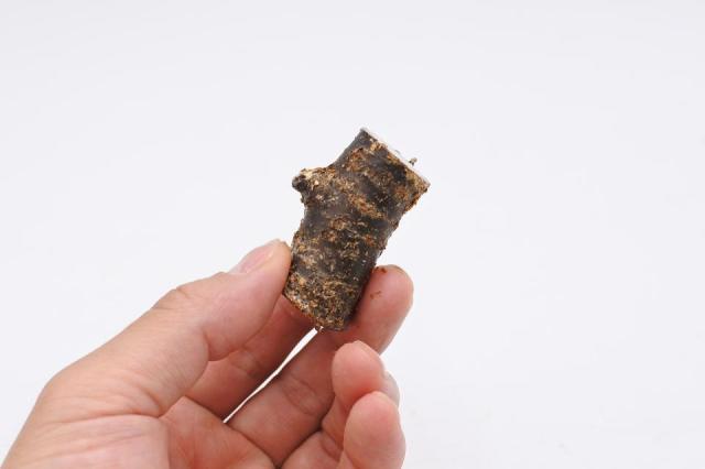 きのこが生える小さな切り株 エノキタケ 超ミニミニ(形状お任せ)：画像1