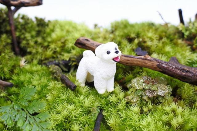 コケリウムフィギュア 犬 マルチーズ：画像1