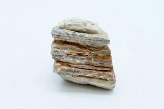 地層石SS（形状お任せ、パック詰め）：画像4