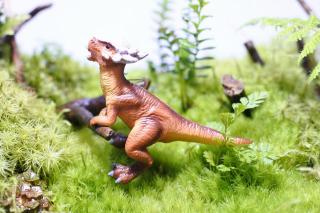 コケリウムフィギュア 恐竜 スティギモロク：画像1