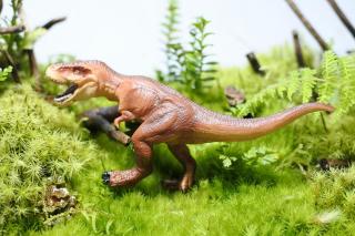 コケリウムフィギュア 恐竜 ティラノサウルス：画像1