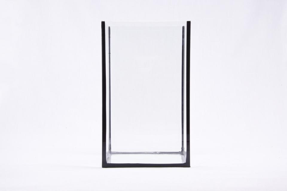 コケリウムガラス容器　15cmキューブBK L(フタ付)