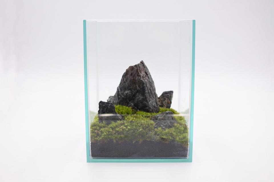 コケリウムキット 森の岩山 青華石(フタ付)：画像4