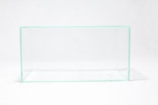 コケリウムガラス容器　20cmスリムLOW(フタ付)：画像1