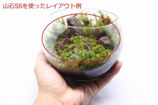 山石SS（形状お任せ、パック詰め）：画像2