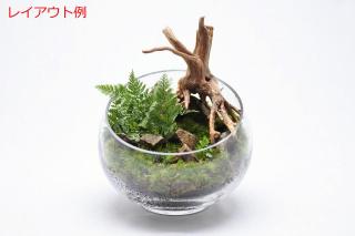 山石SS（形状お任せ、パック詰め）：画像4