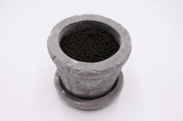 コケリウムキット 陶器の鉢植え ミリオンバンブー：画像3