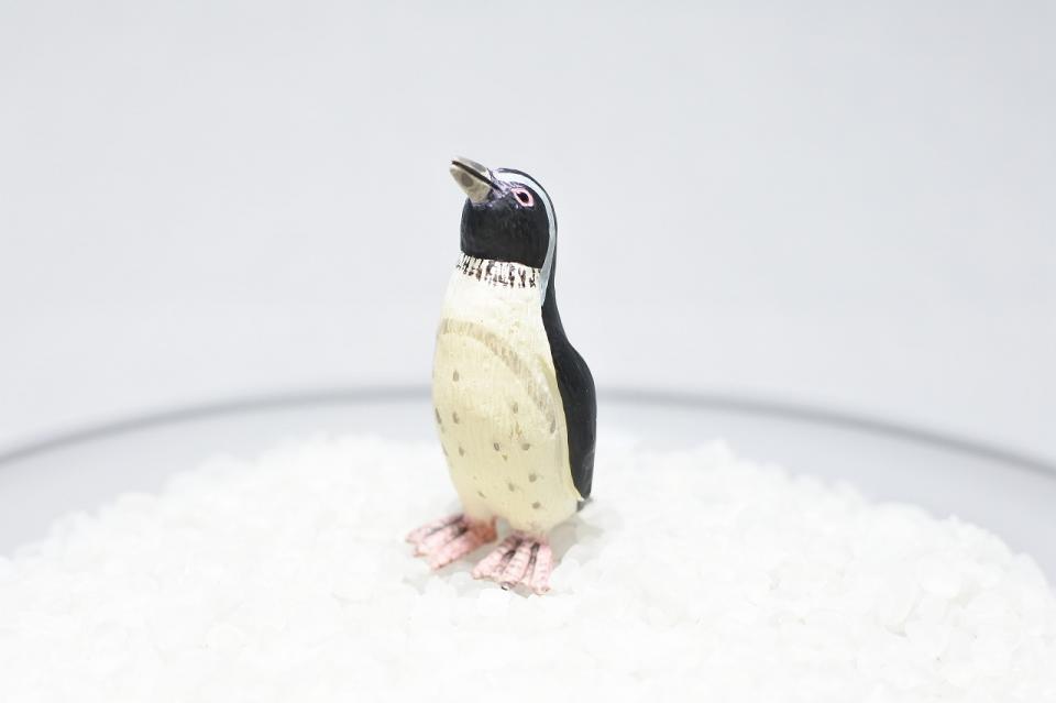 コケリウムフィギュア フンボルトペンギン