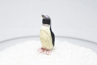 コケリウムフィギュア フンボルトペンギン：画像1