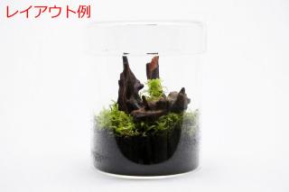 プレミアムルートウッド 4Sサイズ 3本セット（形状お任せ）：画像3