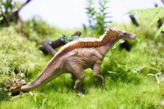コケリウムフィギュア 恐竜 アマルガサウルス：画像1