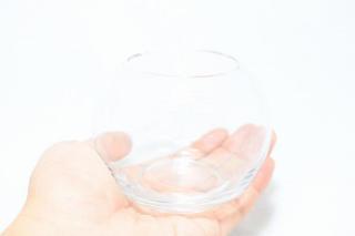 コケリウムガラス容器　ボール3S：画像3
