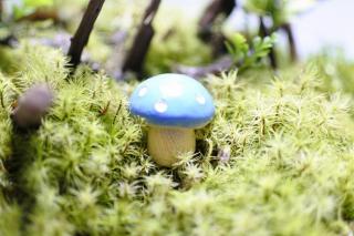 コケリウムフィギュア きのこ シングル ブルー：画像1